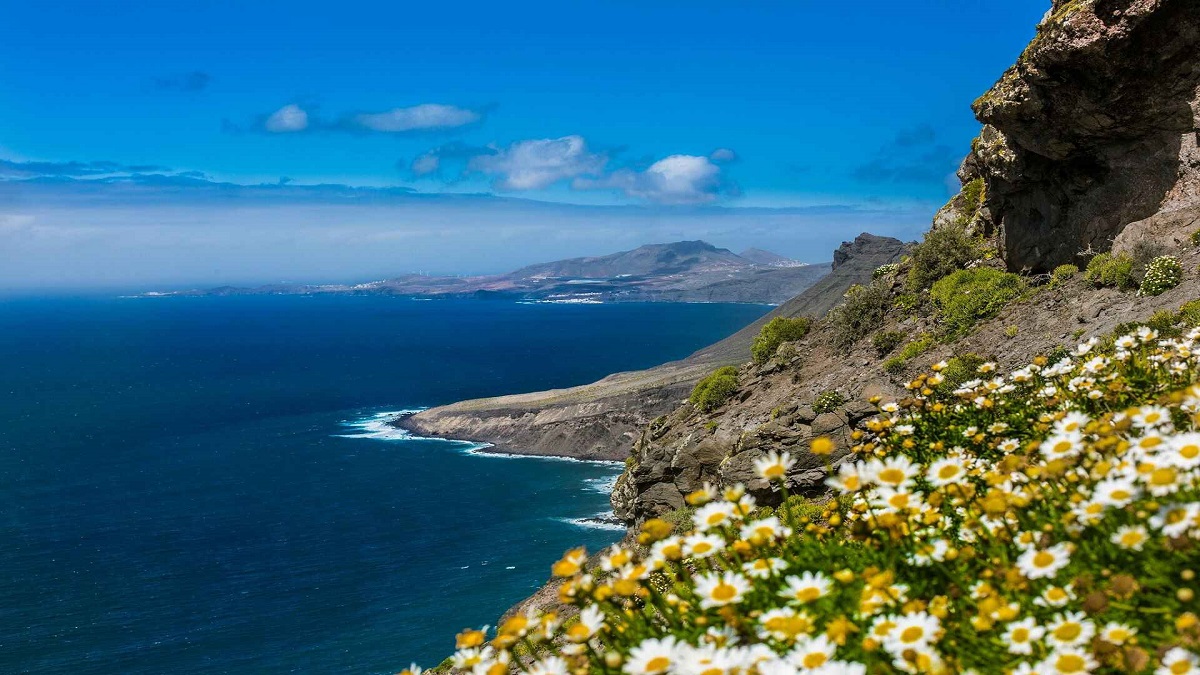 GC-Tours on Gran Canaria — wedding