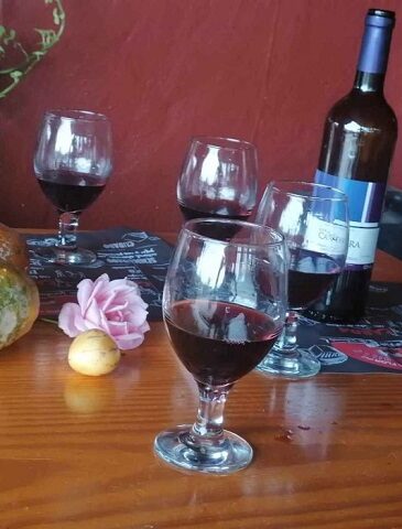Ausflug auf Gran Canaria Wein und mehr