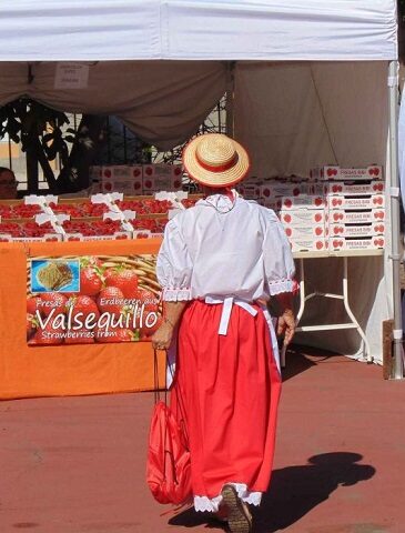 Gran Canaria Dia de canarias Telde